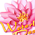 Waterlily Designs logo